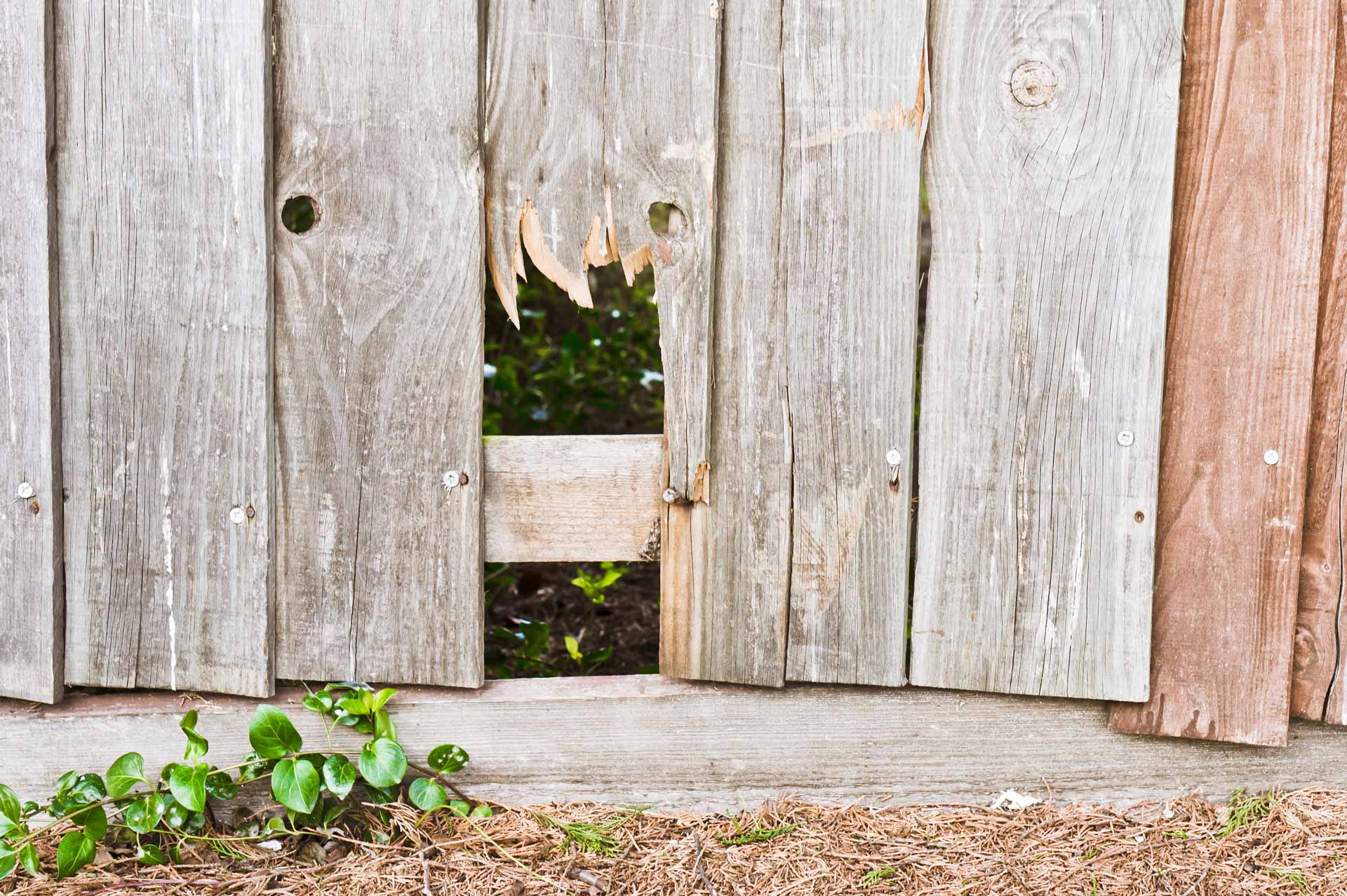 Hole in wooden fence